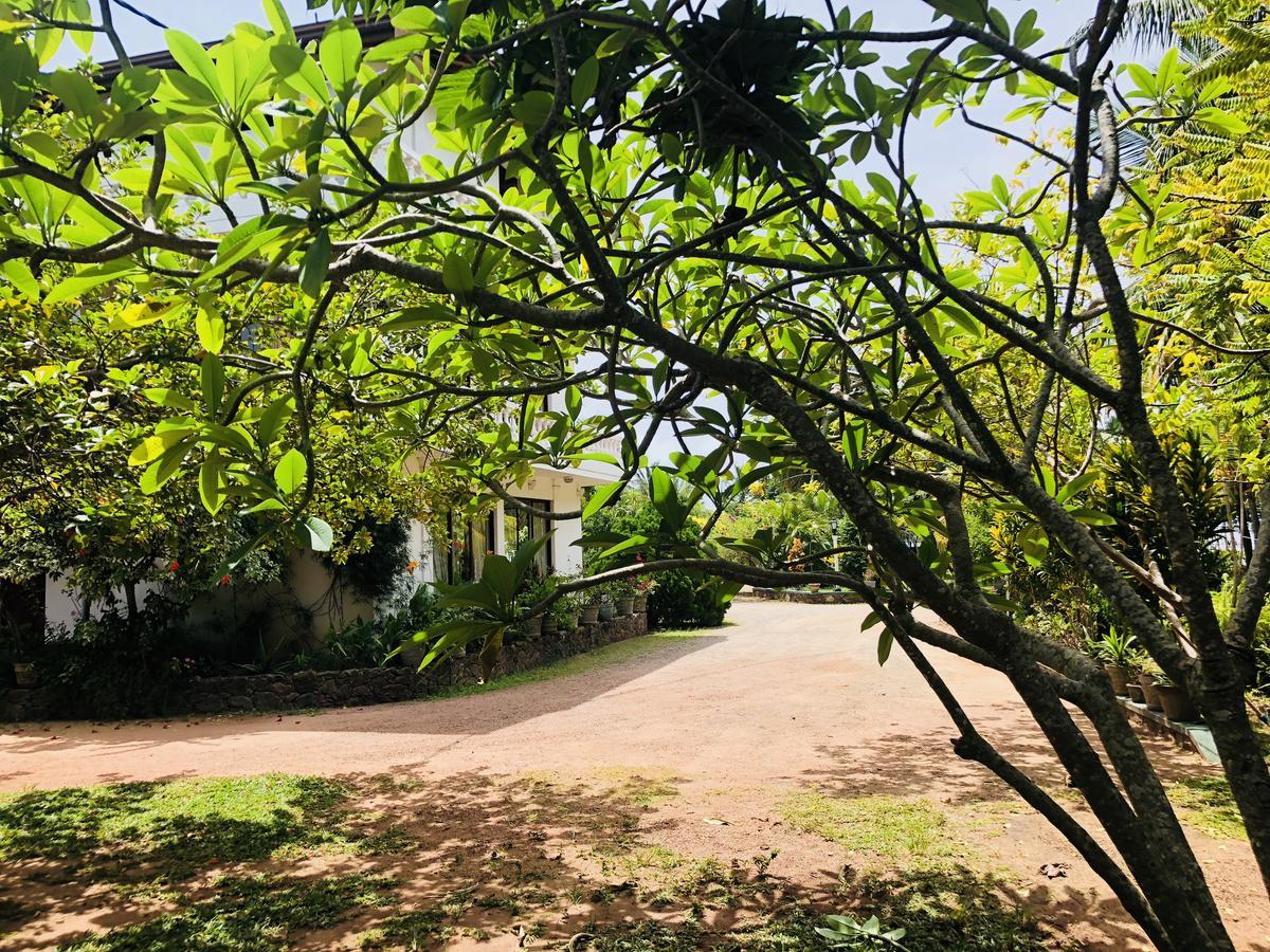 Hotel Lagoon Paradise Νεγκόμπο Εξωτερικό φωτογραφία